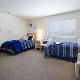 A cozy bedroom with two single beds and a nightstand under a bright window.