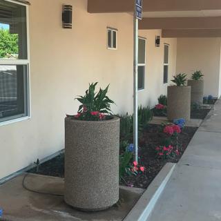 A row of cylindrical planters with greenery lines the side of a building, accompanied by a well-maintained sidewalk.