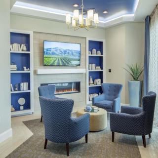 A modern living room with blue chairs and a fireplace, surrounded by bookshelves and a wall-mounted television.