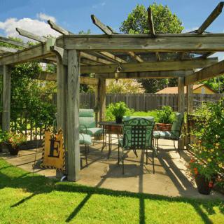 A sunny garden with a pergola and comfortable outdoor seating surrounded by lush greenery.
