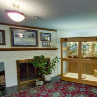 A cozy living room featuring a fireplace, potted plant, and a decorative display case.