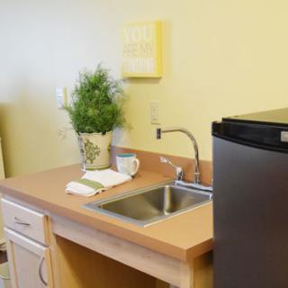 A small kitchenette area with a sink, counter space, and a mini fridge.
