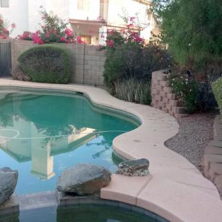 A serene backyard with a uniquely shaped swimming pool surrounded by landscaping.