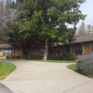 A residential house with a driveway and large tree in the front yard.