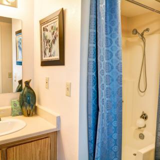 A cozy bathroom with a sink, decorative vases, and a shower with a blue curtain.