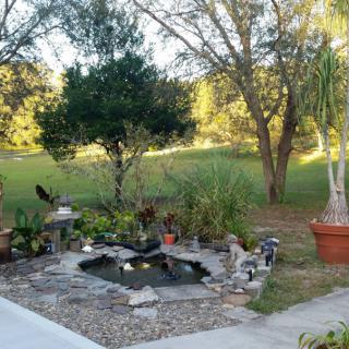 A serene outdoor garden scene with a small pond and surrounding trees.