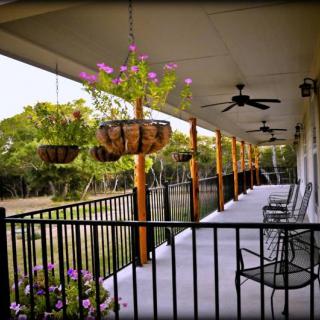 A serene porch with hanging plants and outdoor seating overlooking nature.