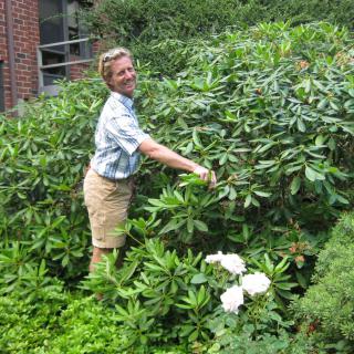 A person tending to a garden with lush greenery.