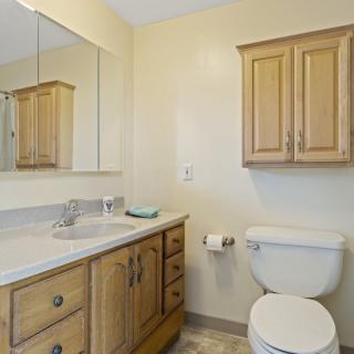 A clean and tidy bathroom with a sink, toilet, and wooden cabinets.