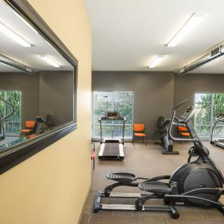 A modern gym featuring exercise equipment including a treadmill and elliptical machine, with large mirrors and windows.