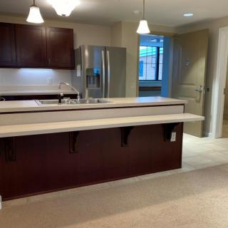 A modern kitchen interior with a spacious countertop and sleek cabinets.