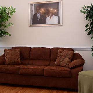 A cozy living room with a brown sofa, flanked by indoor plants and a framed picture on the wall.