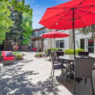 A sunny patio area featuring tables and chairs with red umbrellas, surrounded by greenery.