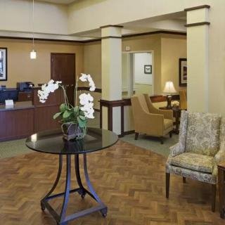 A well-decorated lobby with comfortable seating and a centerpiece orchid on a table.