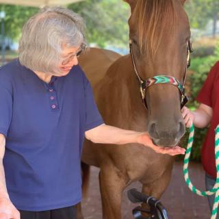 A person gently petting a horse while standing outdoors.