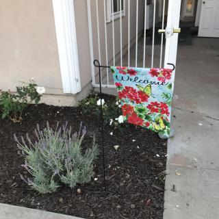 A welcoming garden entrance with a colorful floral flag and lavender plants.