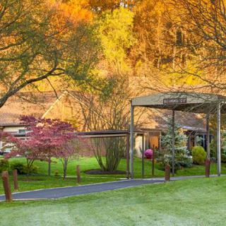 A serene garden pathway surrounded by vibrant autumn foliage.