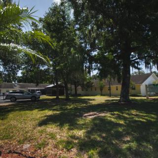 A suburban house with a well-shaded yard and driveway on a sunny day.