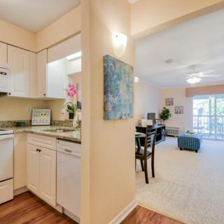 A modern open-space apartment with a cozy kitchen and inviting living room.
