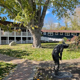A serene outdoor scene featuring a large tree, a building in the background, and a sculpture of a person in motion.
