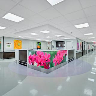A modern hospital reception area featuring vibrant floral artwork and a clean, spacious layout.