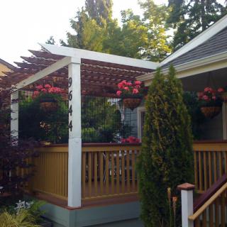 A charming house porch adorned with a pergola and hanging plants, surrounded by lush greenery.