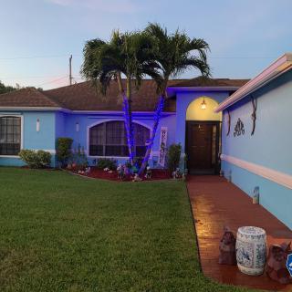 A residential house with blue lighting and a palm tree in the front yard during the evening.