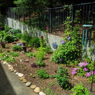 A vibrant garden with flowers and plants alongside a fence on a sunny day.