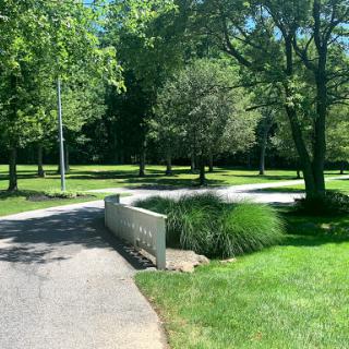 A serene pathway surrounded by lush greenery and trees, inviting visitors to enjoy nature.