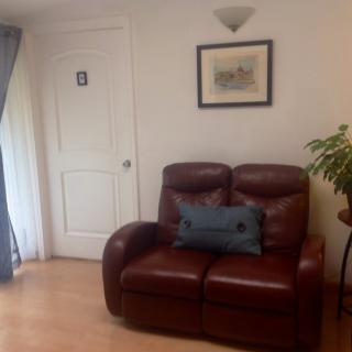 A cozy living room corner with a leather couch, decorative pillow, indoor plant, and framed artwork.