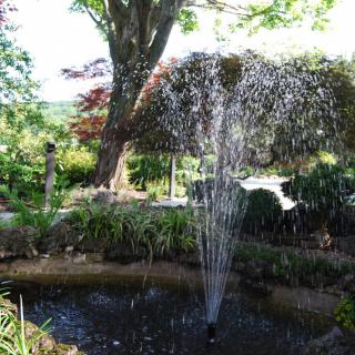 A serene garden scene with a central fountain spraying water, surrounded by lush greenery and trees.