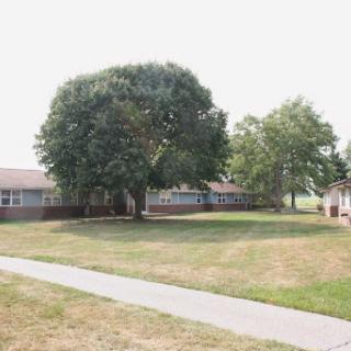 A serene outdoor space featuring a large tree, grassy area, and a pathway leading to nearby buildings.