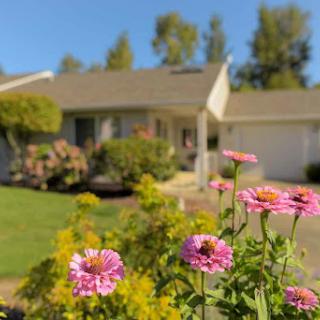 A charming house surrounded by vibrant flowers, showcasing a beautiful garden on a sunny day.