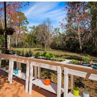 A serene garden view with a variety of plants on a patio.