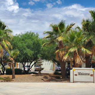 A welcoming entrance surrounded by palm trees and a clear blue sky.