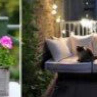 A cozy balcony garden with flowers and a cat relaxing on a cushioned seat under twinkling string lights.
