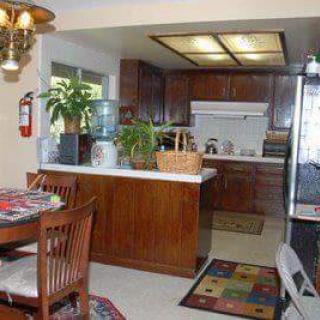 A cozy kitchen and dining area with wooden furniture and plants.