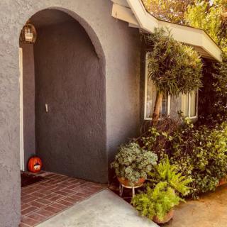 A cozy front entrance with an arched doorway, surrounded by lush plants and a small pumpkin decorating the brick pathway.