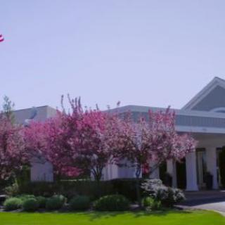 A picturesque building with blooming trees in spring.