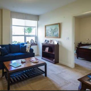 A cozy living room with a blue sofa, coffee table, and a bookshelf near a large window.