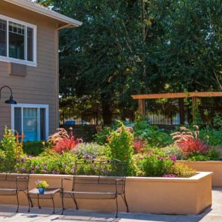 A serene garden with colorful flowers, benches, and a nearby building under a sunny sky.