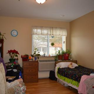 A cozy bedroom with a single bed, plants, and a window letting in natural light.
