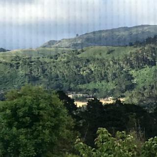A serene view of lush green mountains and trees under a cloudy sky.