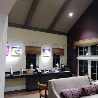 A cozy living room with a vaulted ceiling, showcasing artwork, a comfortable sofa, and a desk by the window.