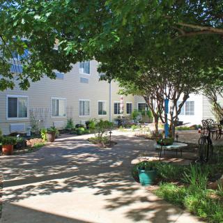 A tranquil courtyard garden with trees, benches, and a paved walkway.