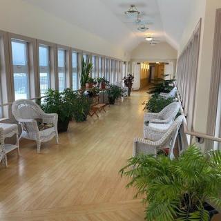 A bright corridor with wooden flooring, lined with plants and armchairs by the windows.