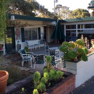 A cozy outdoor patio area with seating and lush greenery.