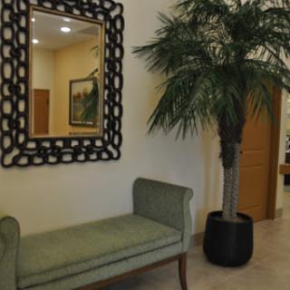 A stylish interior featuring a decorative mirror, a green bench, and a potted palm tree.