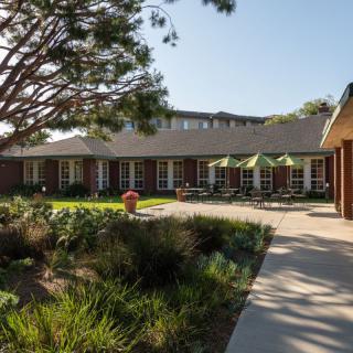 A sunny courtyard with a garden, trees, and a pathway leading to a building.