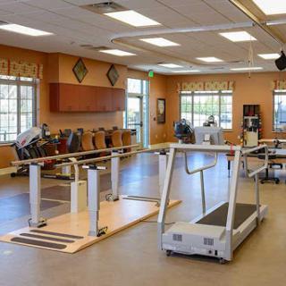 A spacious rehabilitation gym equipped with exercise machines, including a treadmill, designed for fitness and recovery.